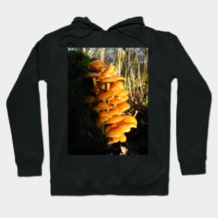 Mushroom World Hoodie